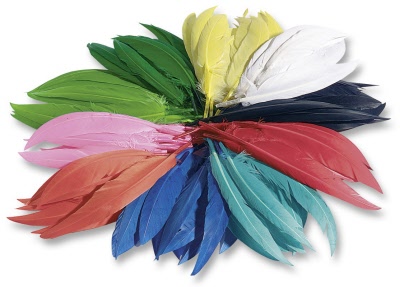 Indianerfedern, bunt, 100gr