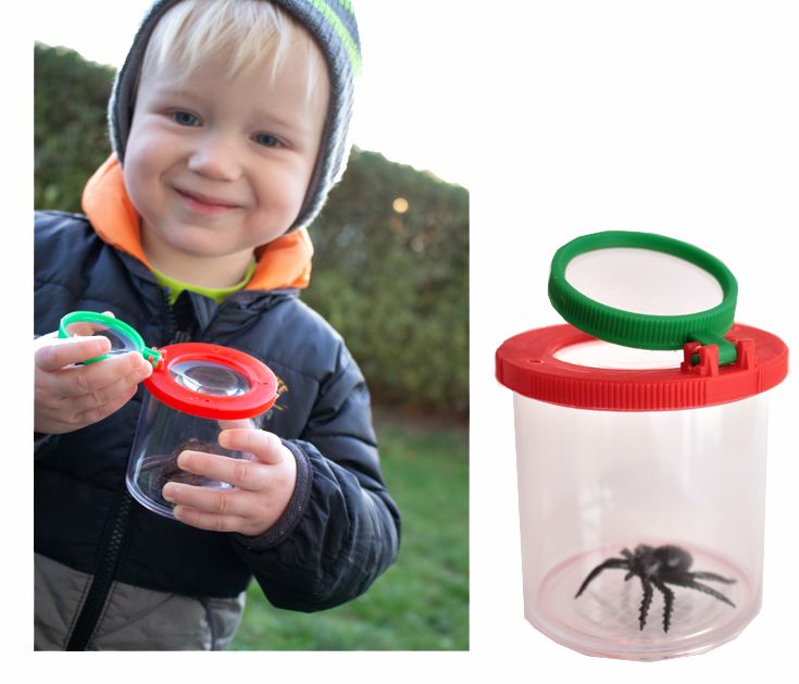 Lupendose gro� 6cm